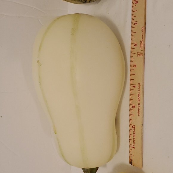 Pottery Barn 2 Wick White 8" X 4" Fall Gourd Candle Burns 65 Hours - Picture 4 of 7